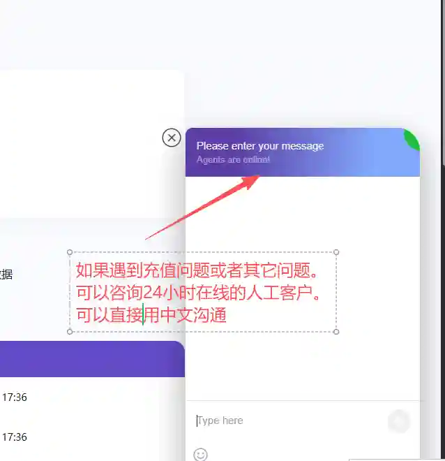 HeroSMS遇到充值或者其它问题可以咨询右下角24小时在线的客服，支持多种语言询问可以直接用中文沟通。