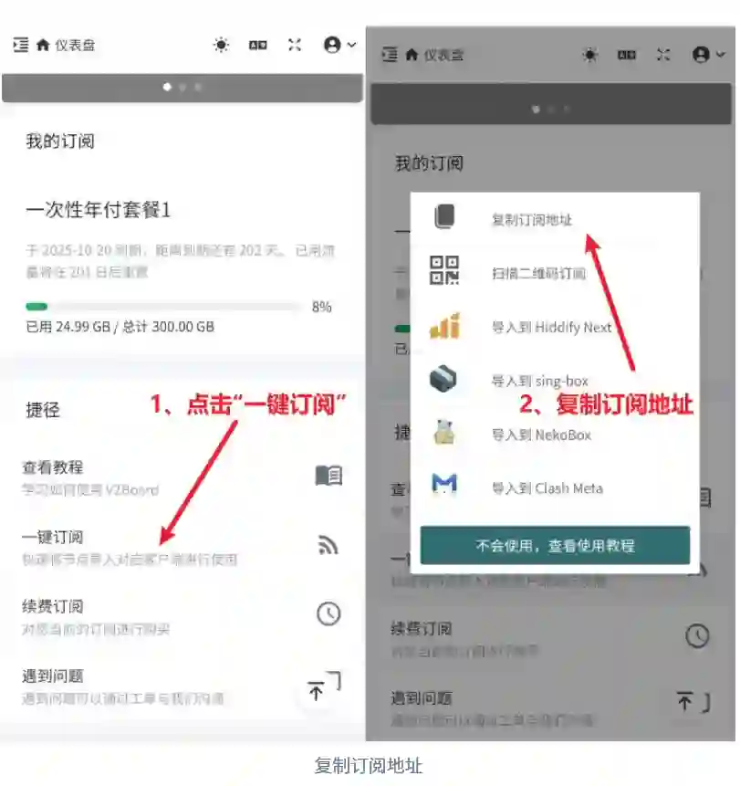 纯净VPN节点使用 纯净VPN节点使用